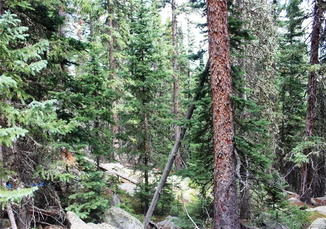 Photo 4 of Land for sale at 00 Hidden Wilderness Rd, Idaho Springs, CO 80452 | MLS# 3171126 | Listing updated on 2026-09-02