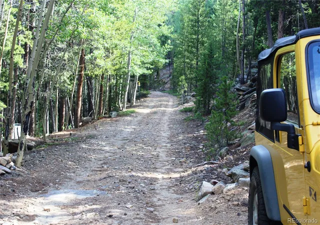 Homes for sale in Idaho Springs, CO | 3504 Hidden Wilderness Rd, Idaho Springs, CO 80452 | MLS# 5345549