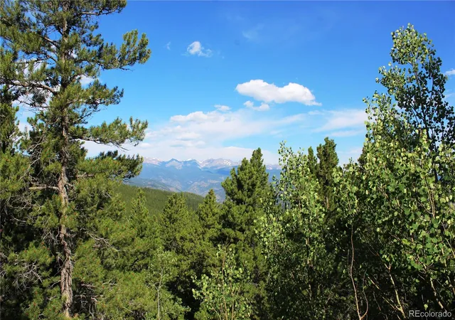 Homes for sale in Idaho Springs, CO | 3504 Hidden Wilderness Rd, Idaho Springs, CO 80452 | MLS# 5345549