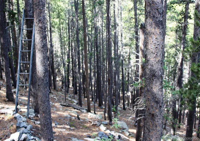 Homes for sale in Idaho Springs, CO | 3504 Hidden Wilderness Rd, Idaho Springs, CO 80452 | MLS# 5345549