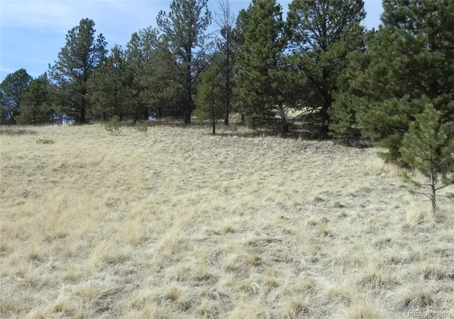 Homes for sale in Cripple Creek, CO | 1058 Monarch Dr, Cripple Creek, CO 80813 | MLS# 1981834