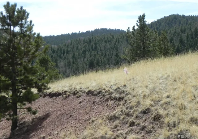 Homes for sale in Cripple Creek, CO | 1058 Monarch Dr, Cripple Creek, CO 80813 | MLS# 1981834