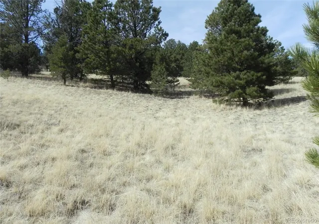 Homes for sale in Cripple Creek, CO | 1058 Monarch Dr, Cripple Creek, CO 80813 | MLS# 1981834