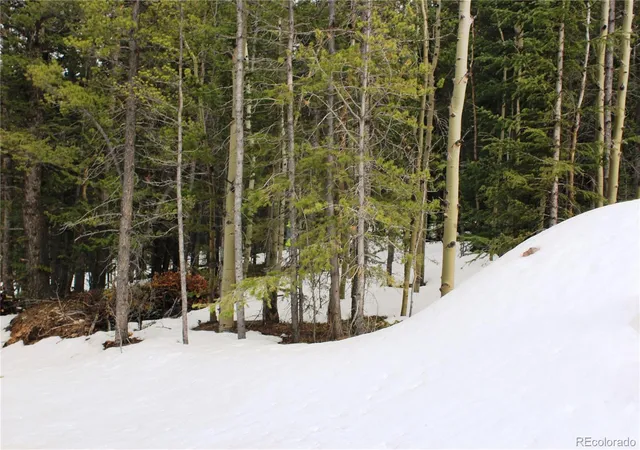 Homes for sale in Black Hawk, CO | 00 Miners Mesa Rd, Black Hawk, CO 80422 | MLS# 2891028