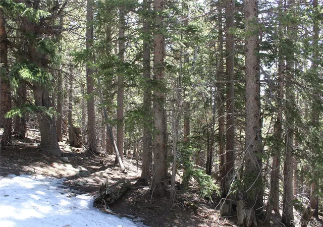 Homes for sale in Black Hawk, CO | 00 Miners Mesa Rd, Black Hawk, CO 80422 | MLS# 2891028