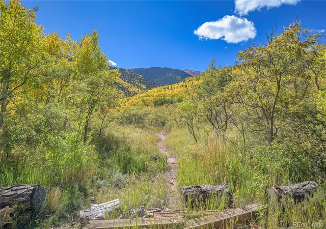 49th image of 1331 Panadero Ave #404, La Veta, CO 81055 | MLS# 8560565