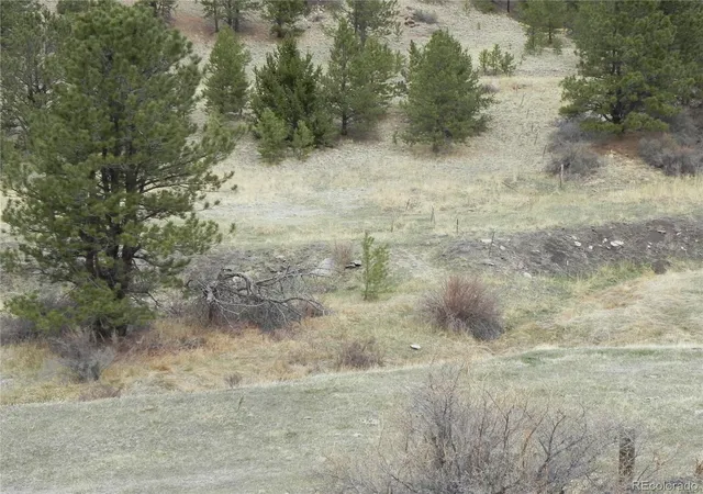 Homes for sale in Cripple Creek, CO | 521 Monarch Dr, Cripple Creek, CO 80813 | MLS# 9681225