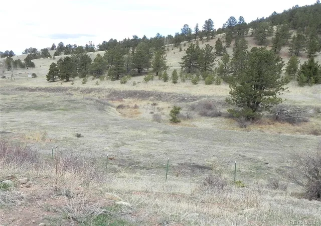 Homes for sale in Cripple Creek, CO | 521 Monarch Dr, Cripple Creek, CO 80813 | MLS# 9681225