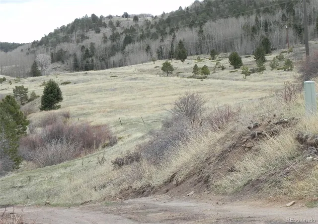 Homes for sale in Cripple Creek, CO | 521 Monarch Dr, Cripple Creek, CO 80813 | MLS# 9681225