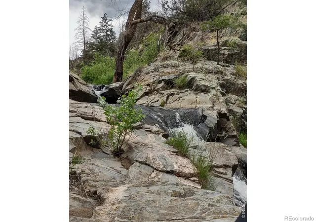 Homes for sale in Bellvue, CO | 439 Redtail Ridge Wy, Bellvue, CO 80512 | MLS# IR1056212