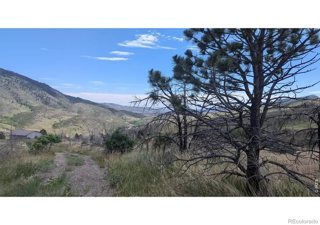 Homes for sale in Bellvue, CO | 439 Redtail Ridge Wy, Bellvue, CO 80512 | MLS# IR1056212
