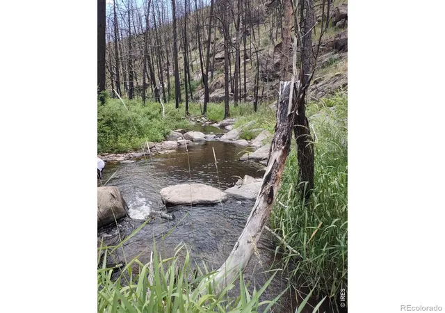 Homes for sale in Bellvue, CO | 439 Redtail Ridge Wy, Bellvue, CO 80512 | MLS# IR1056212
