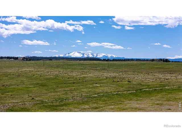 Homes for sale in Franktown, CO | 0 S Hwy 83 Hwy, Franktown, CO 80116 | MLS# IR1056278