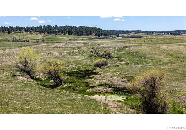 Homes for sale in Franktown, CO | 0 S Hwy 83 Hwy, Franktown, CO 80116 | MLS# IR1056278