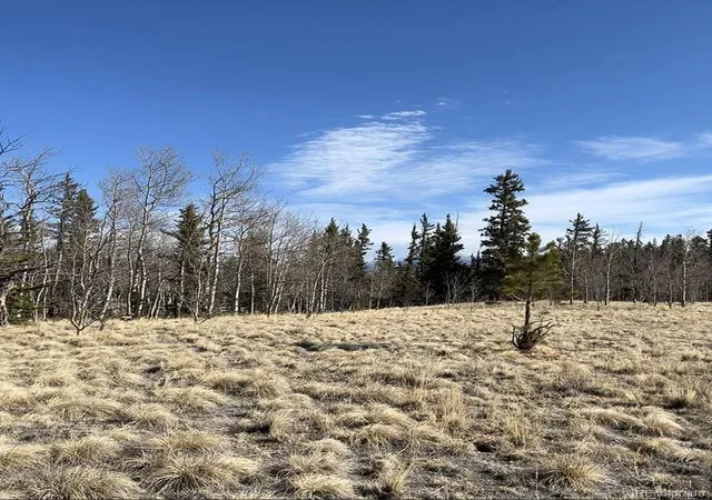 Homes for sale in Como, CO | 27 Warpath Rd, Como, CO 80432 | MLS# 9502756