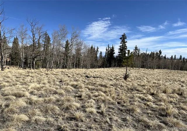 Homes for sale in Como, CO | 27 Warpath Rd, Como, CO 80432 | MLS# 9502756