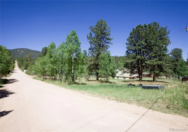 Homes for sale in Bailey, CO | 126 Sullivan St, Bailey, CO 80421 | MLS# 1683013