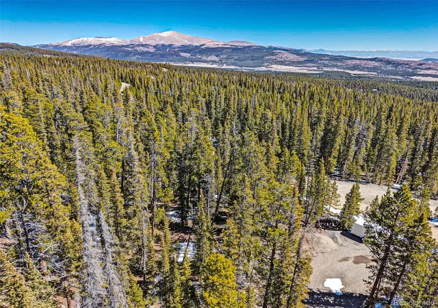 Homes for sale in Fairplay, CO | 313 Porcupine Rd, Fairplay, CO 80440 | MLS# 4347483