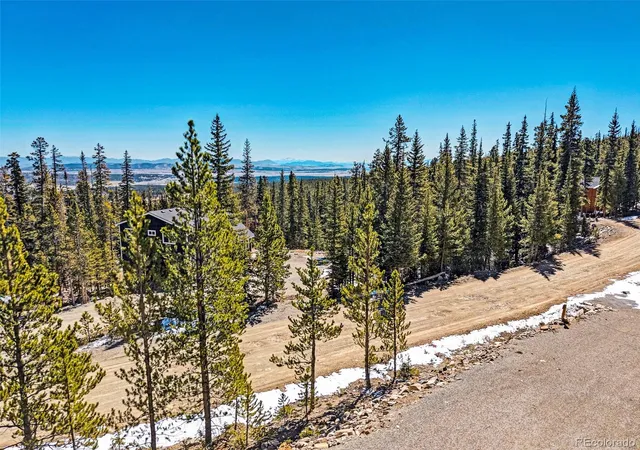 Homes for sale in Fairplay, CO | 313 Porcupine Rd, Fairplay, CO 80440 | MLS# 4347483