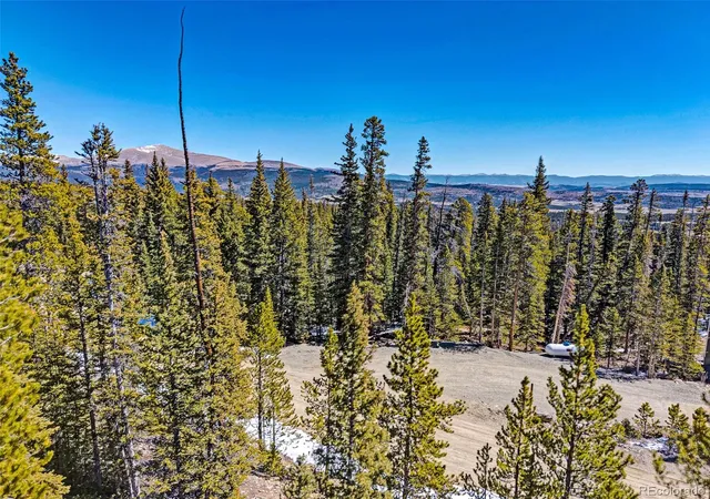 Homes for sale in Fairplay, CO | 313 Porcupine Rd, Fairplay, CO 80440 | MLS# 4347483