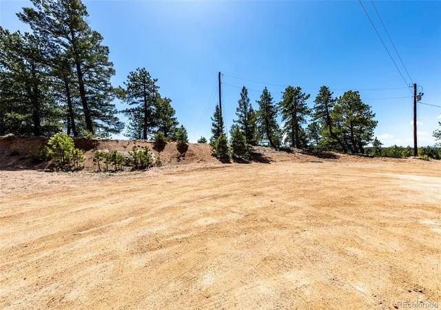 Homes for sale in Florissant, CO | 110 La Abu Trl, Florissant, CO 80816 | MLS# 7371763