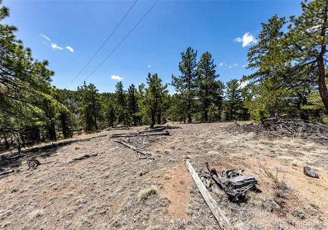 Homes for sale in Florissant, CO | 110 La Abu Trl, Florissant, CO 80816 | MLS# 7371763