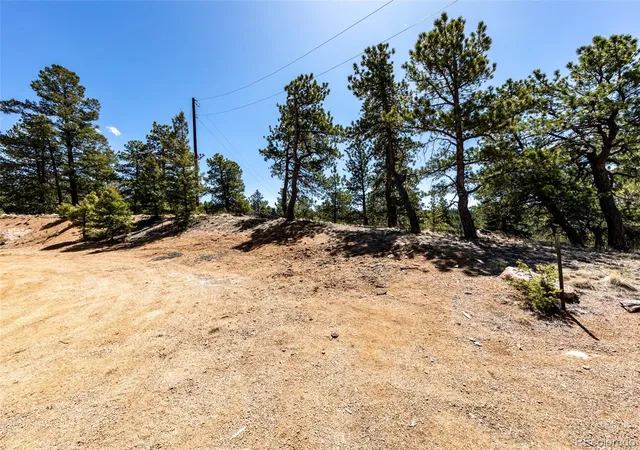 Homes for sale in Florissant, CO | 110 La Abu Trl, Florissant, CO 80816 | MLS# 7371763