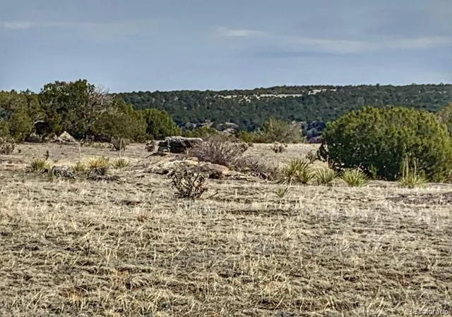 Photo 3 of Land for sale at Lot 80 Turkey Ridge Ranch, Walsenburg, CO 81089 | MLS# 6192225 | Listing updated on 2026-05-06