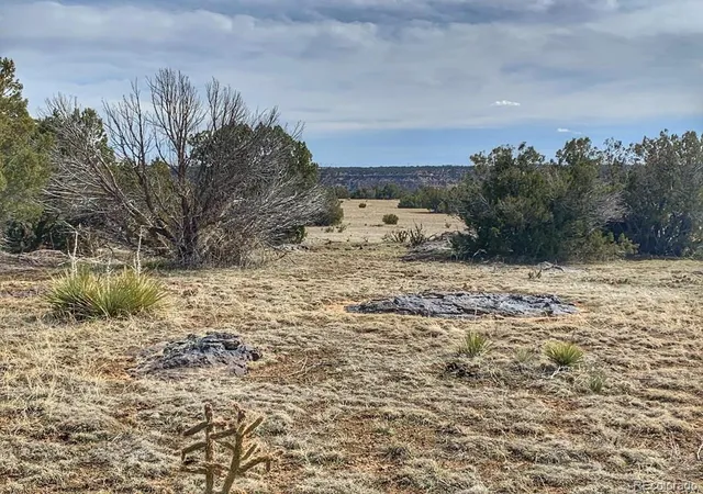Photo 3 of Land for sale at Lot 80 Turkey Ridge Ranch, Walsenburg, CO 81089 | MLS# 6192225 | Listing updated on 2026-05-06