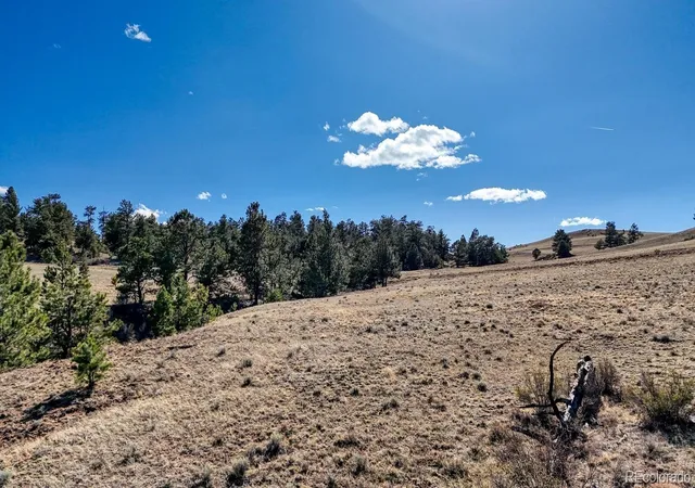 Photo 1 of Land for sale at Lot 5090 & 5097 Arikara, Hartsel, CO 80449 | MLS# 8437313 | Listing updated on 2026-09-02