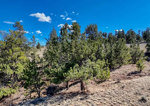 Photo 1 of Land for sale at Lot 5090 & 5097 Arikara, Hartsel, CO 80449 | MLS# 8437313 | Listing updated on 2026-09-02