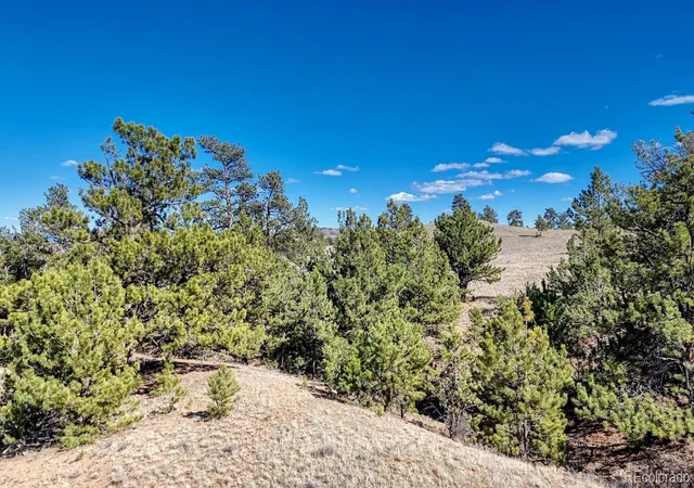Photo 2 of Land for sale at Lot 5090 & 5097 Arikara, Hartsel, CO 80449 | MLS# 8437313 | Listing updated on 2026-09-02