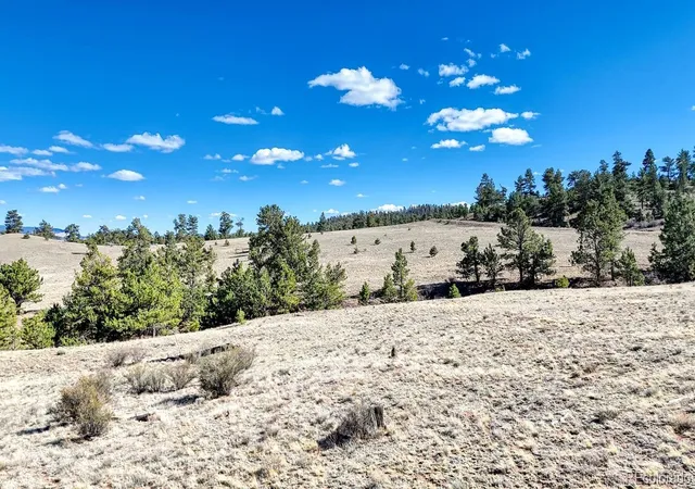 Photo 3 of Land for sale at Lot 5090 & 5097 Arikara, Hartsel, CO 80449 | MLS# 8437313 | Listing updated on 2026-09-02