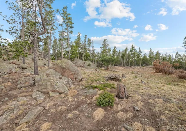 Homes for sale in Morrison, CO | 10157 Horizon View Dr, Morrison, CO 80465 | MLS# 1716937