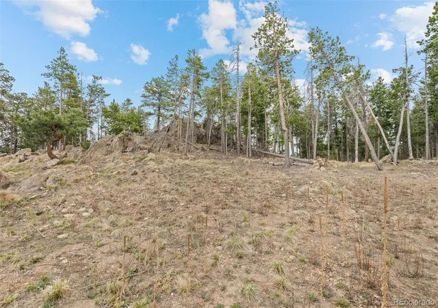 Homes for sale in Morrison, CO | 10157 Horizon View Dr, Morrison, CO 80465 | MLS# 1716937
