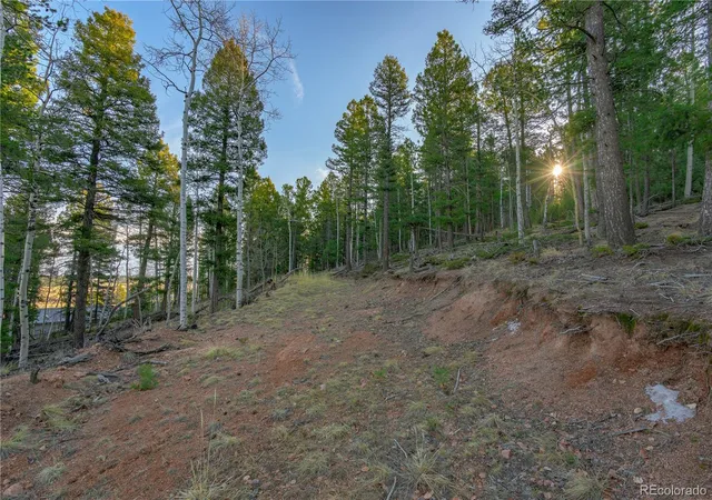 Homes for sale in Divide, CO | 88 Malmsey Ln, Divide, CO 80814 | MLS# 3425157