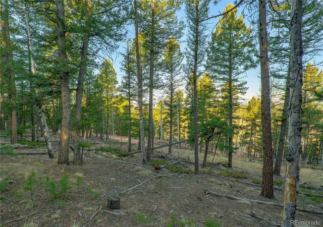 Homes for sale in Divide, CO | 88 Malmsey Ln, Divide, CO 80814 | MLS# 3425157