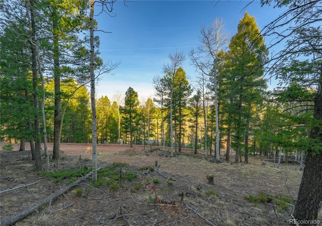 Homes for sale in Divide, CO | 88 Malmsey Ln, Divide, CO 80814 | MLS# 3425157