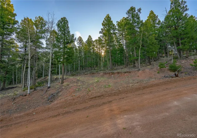 Homes for sale in Divide, CO | 88 Malmsey Ln, Divide, CO 80814 | MLS# 3425157