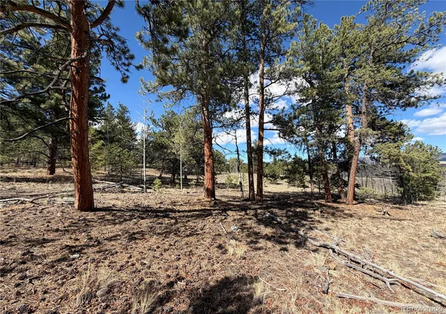Photo 1 of Land for sale at 239 Shenandoah Path, Hartsel, CO 80449 | MLS# 3716910 | Listing updated on 2026-10-14