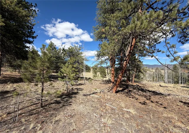 Photo 3 of Land for sale at 239 Shenandoah Path, Hartsel, CO 80449 | MLS# 3716910 | Listing updated on 2026-10-14