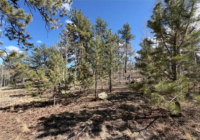 Photo 4 of Land for sale at 239 Shenandoah Path, Hartsel, CO 80449 | MLS# 3716910 | Listing updated on 2026-10-14