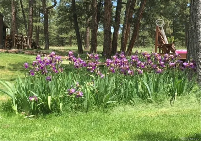 48th image of 5030 Cedar Wy, Elizabeth, CO 80107 | MLS# 9057527