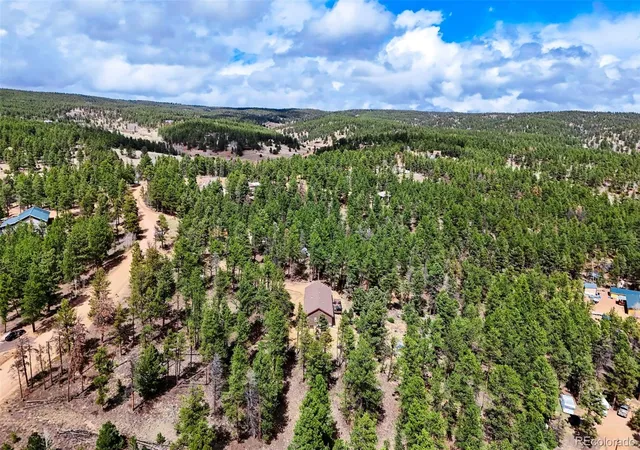 Homes for sale in Florissant, CO | 858 Fossil Creek Rd, Florissant, CO 80816 | MLS# 6216965
