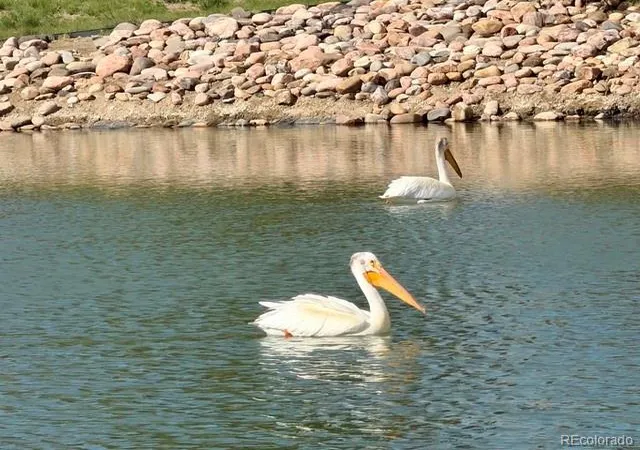 34th image of 600 Sun Up Pl, Erie, CO 80516 | MLS# 2026243
