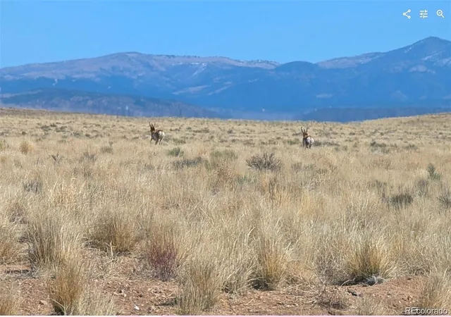 Homes for sale in Blanca, CO | Lot 4 Grandby Rd, Blanca, CO 81123 | MLS# 7492817