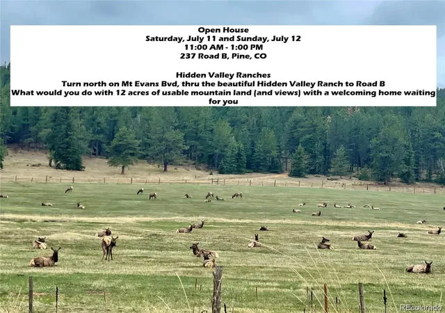 Homes for sale in Pine, CO | 237 Road B, Pine, CO 80470 | MLS# 6009727