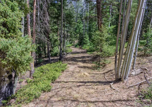 Homes for sale in Florissant, CO | 2763 N Mountain Estates Rd, Florissant, CO 80816 | MLS# 6182191