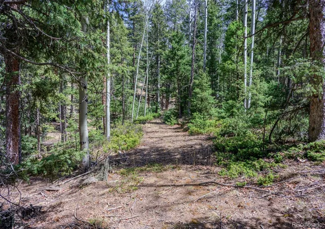 Homes for sale in Florissant, CO | 2763 N Mountain Estates Rd, Florissant, CO 80816 | MLS# 6182191