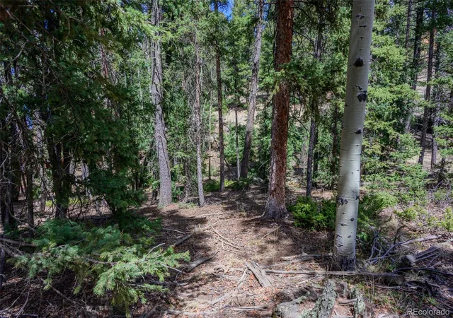 Homes for sale in Florissant, CO | 2763 N Mountain Estates Rd, Florissant, CO 80816 | MLS# 6182191